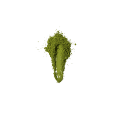 Vanilla Chicory Matcha Latte Set