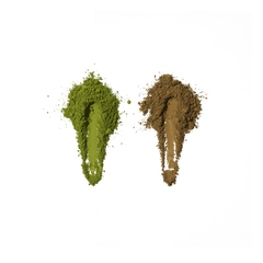 Craft Hōjicha and Matcha Set